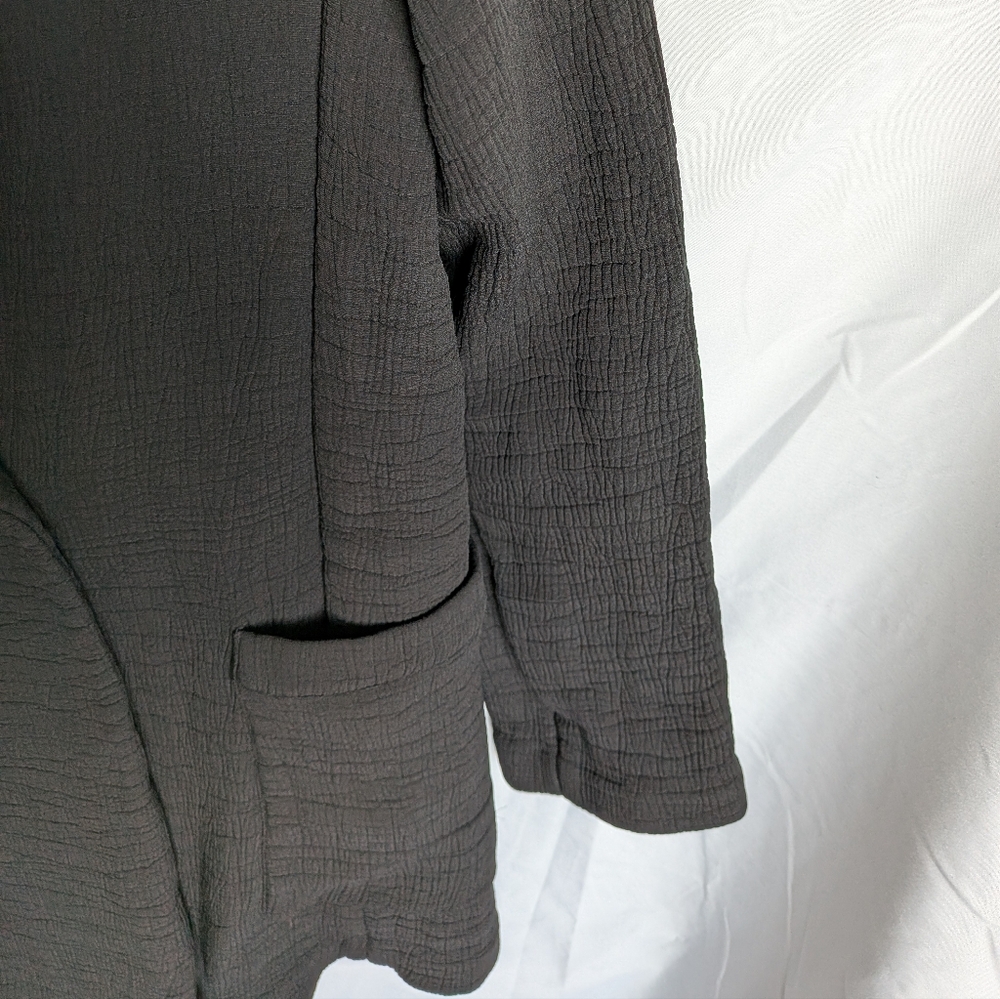 Eileen Fisher Silk Blend Sponge Texture Blazer - Minimalist Lagenlook - Black L - Picture 8 of 12